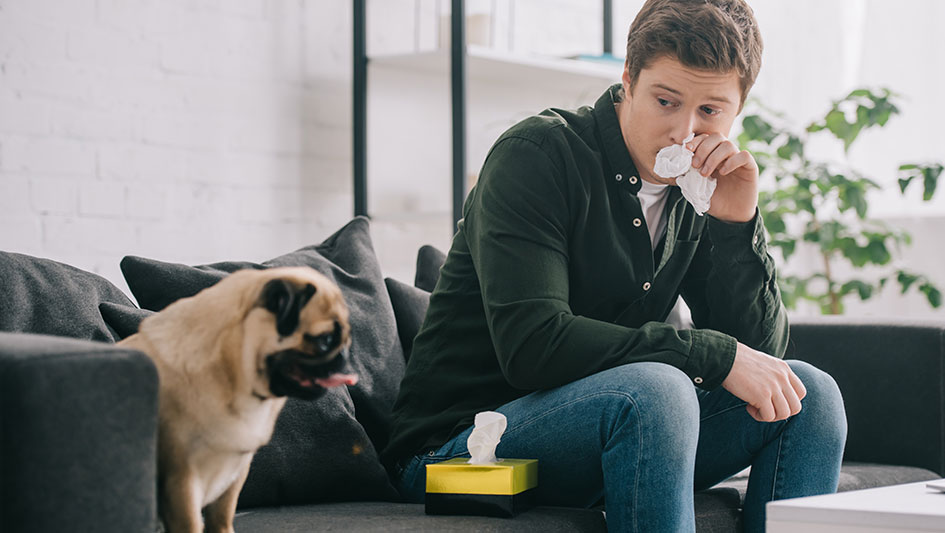 Purchasing an air purifier is one of the wisest approaches to enhance your house’s indoor air quality. Find out more about the three top solutions. 